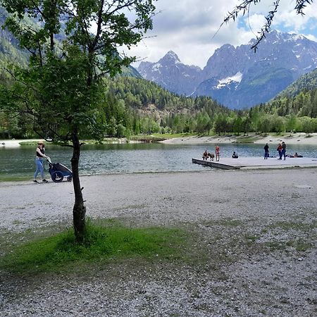 Les Chalet Kranjska Gora Duplex エクステリア 写真