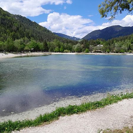 Les Chalet Kranjska Gora Duplex エクステリア 写真