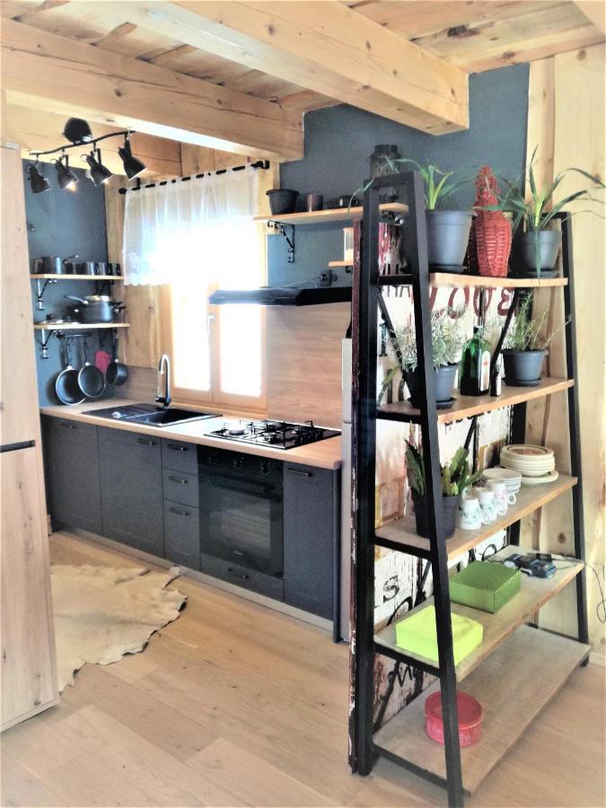 Les Chalet Kranjska Gora Duplex エクステリア 写真