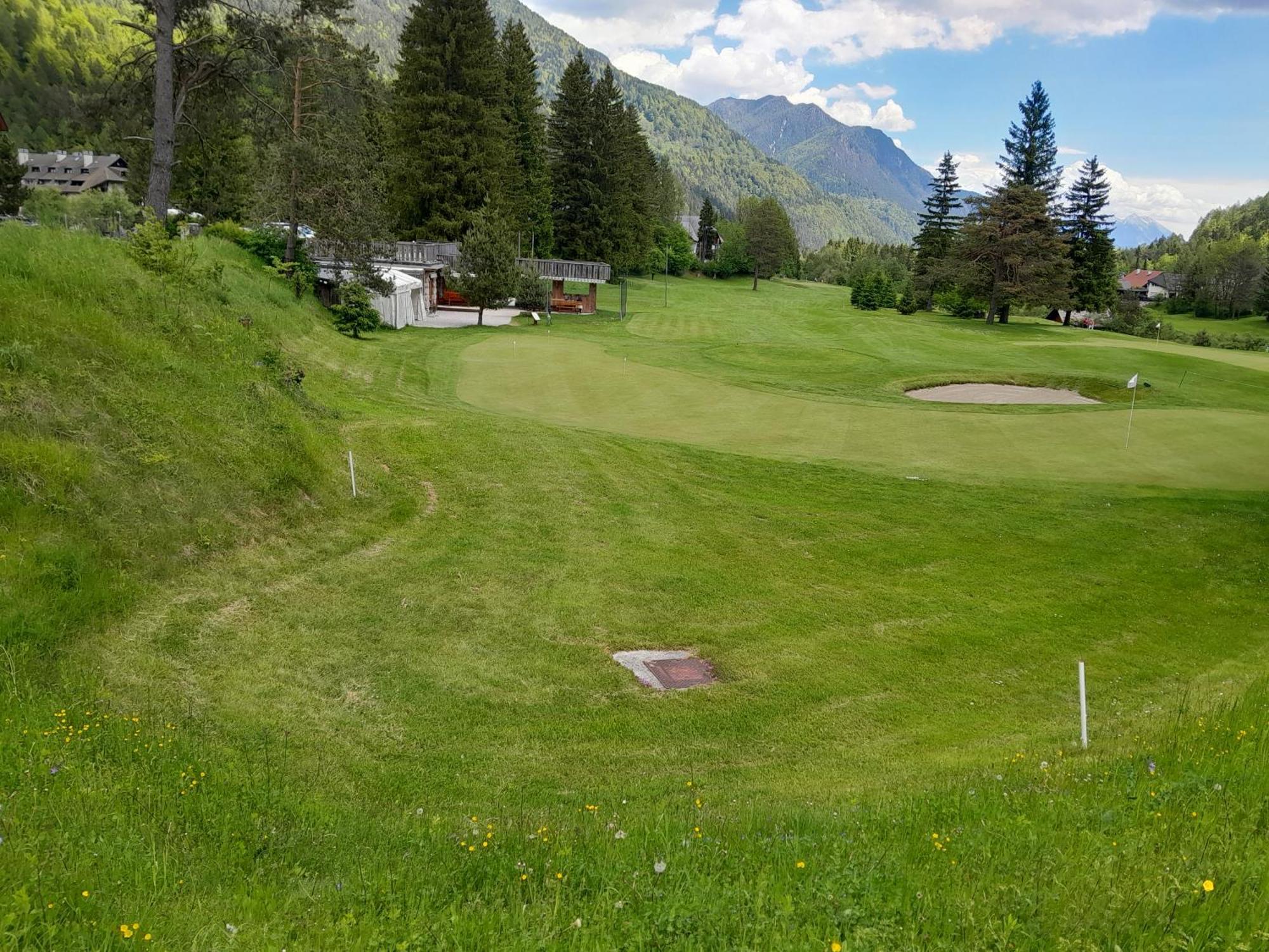 Les Chalet Kranjska Gora Duplex エクステリア 写真