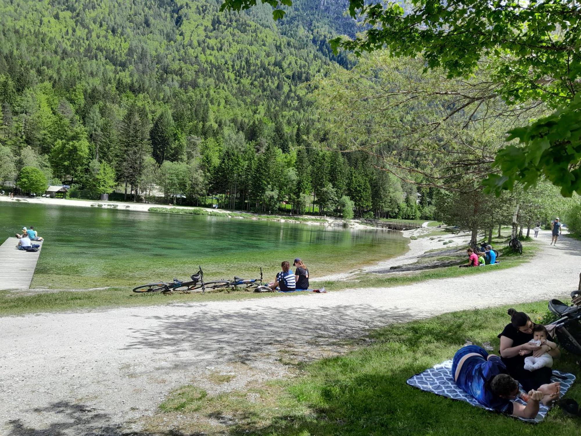 Les Chalet Kranjska Gora Duplex エクステリア 写真